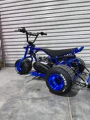 Blue Mini Trike - MINI SFD TRIKES